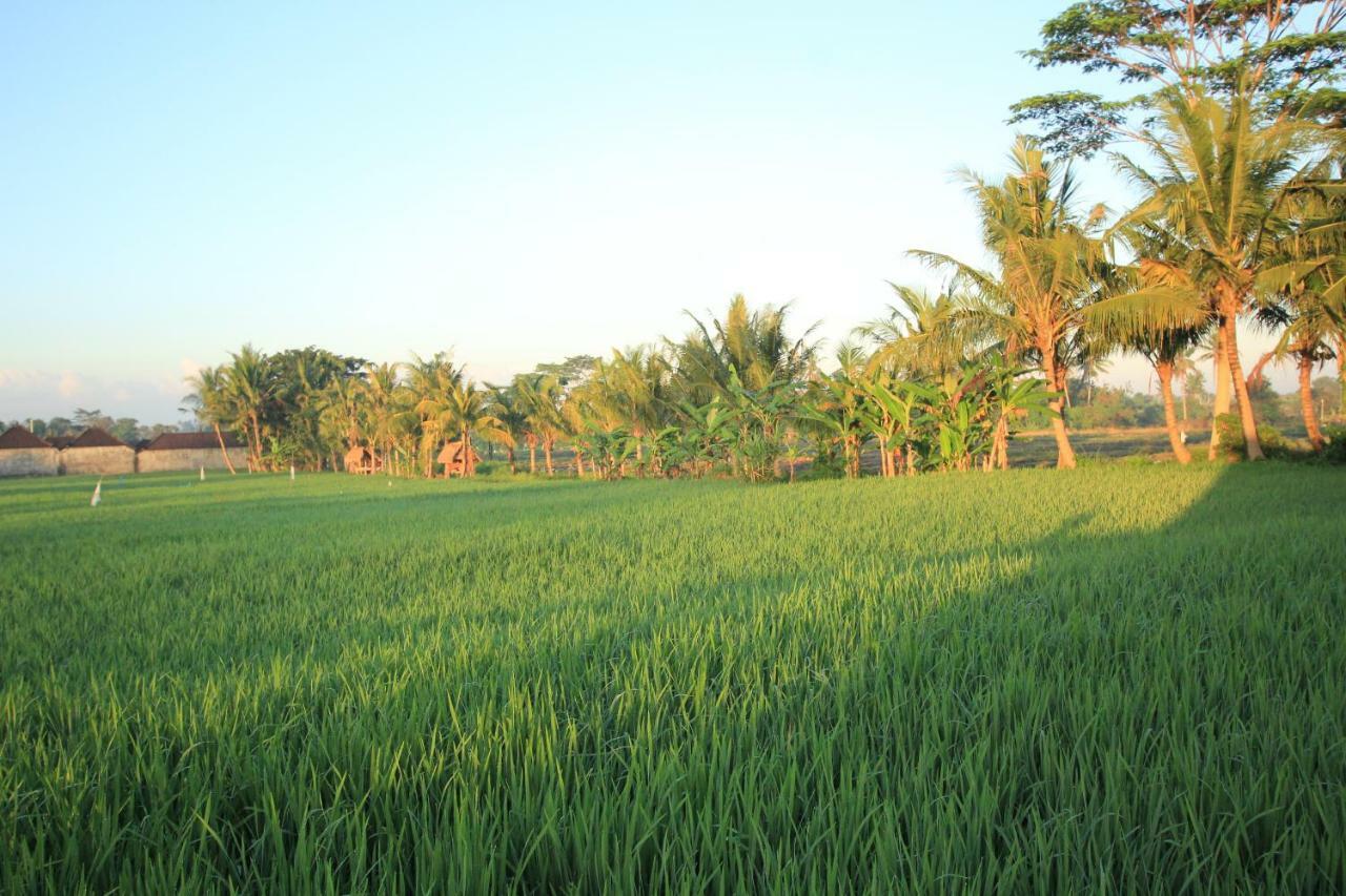 Ayuna Family Ubud Exteriör bild