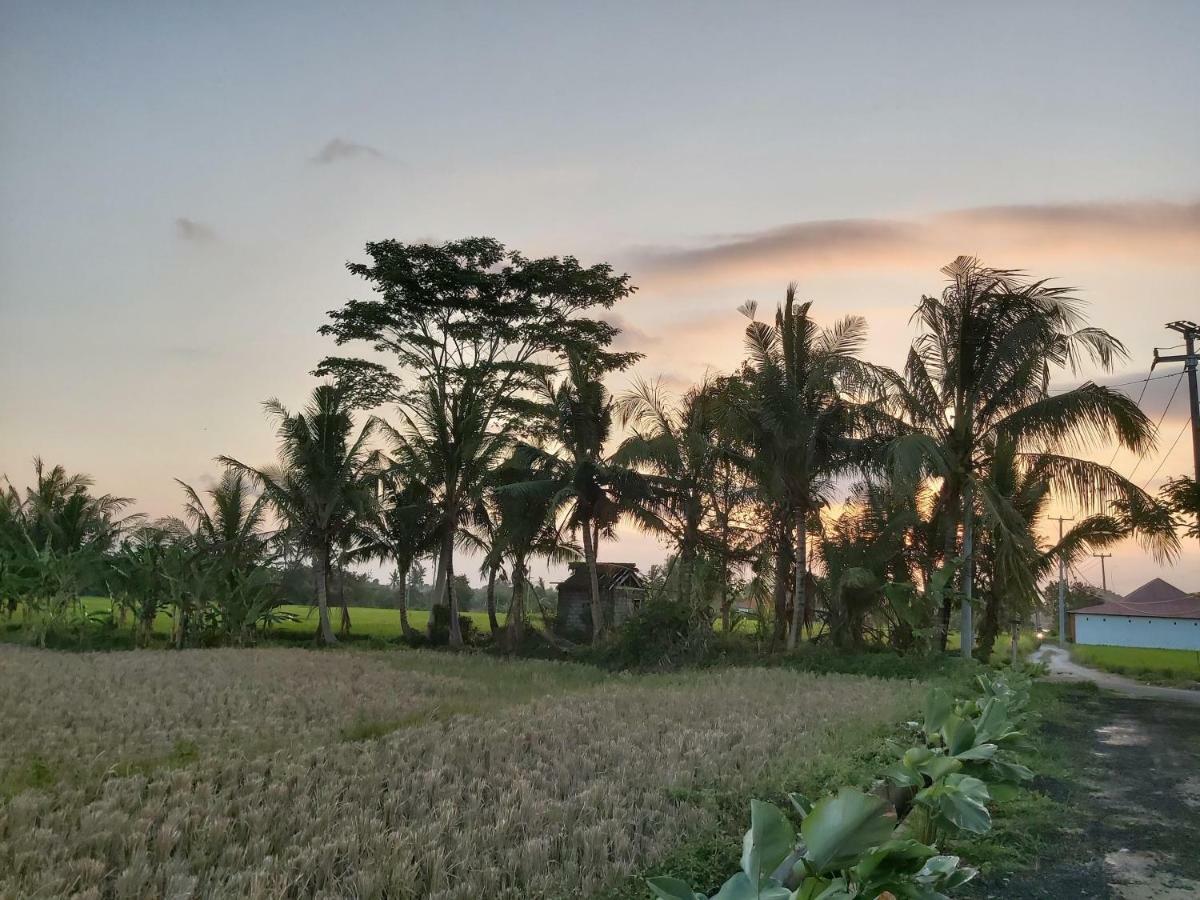 Ayuna Family Ubud Exteriör bild