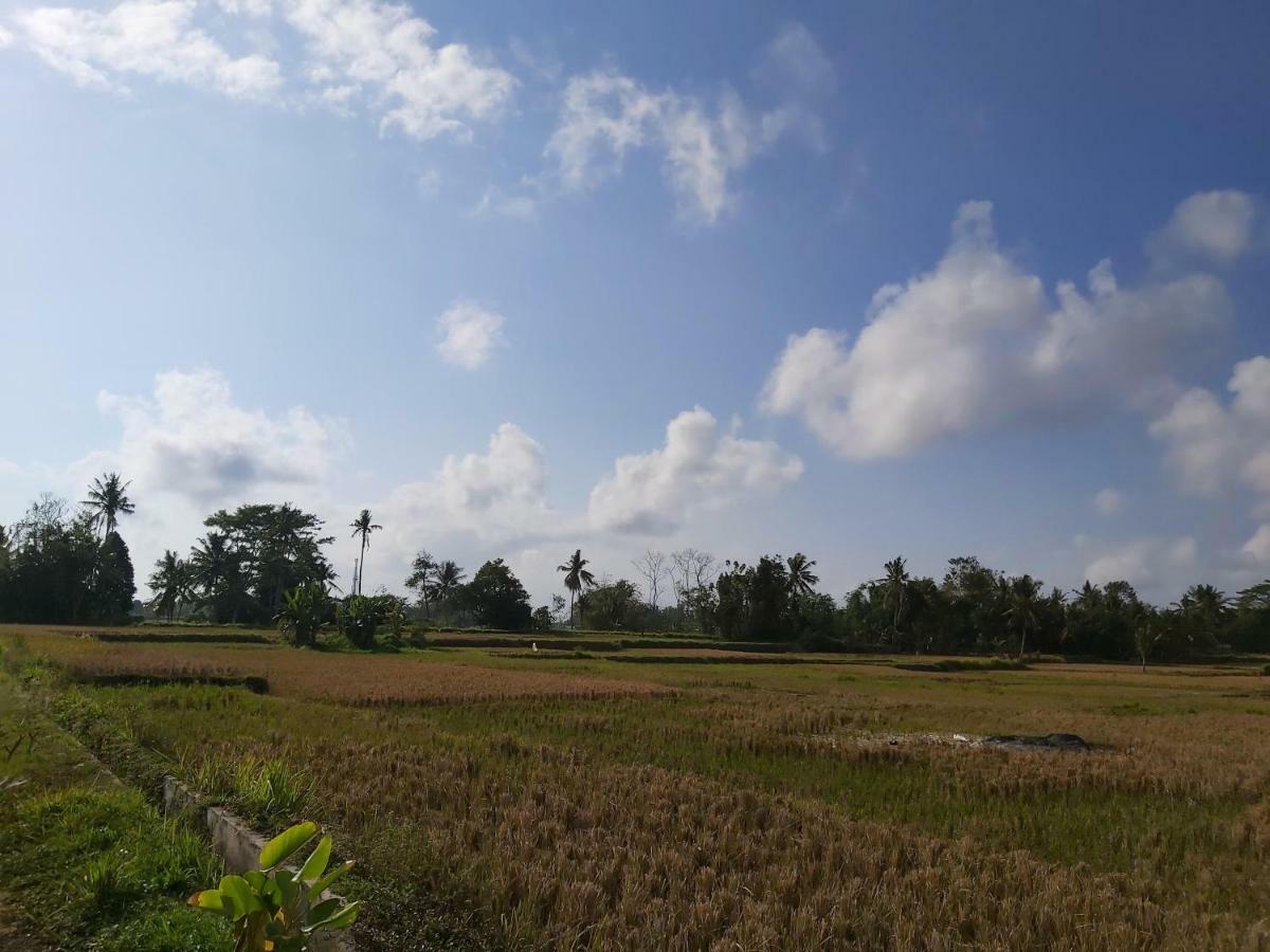 Ayuna Family Ubud Exteriör bild