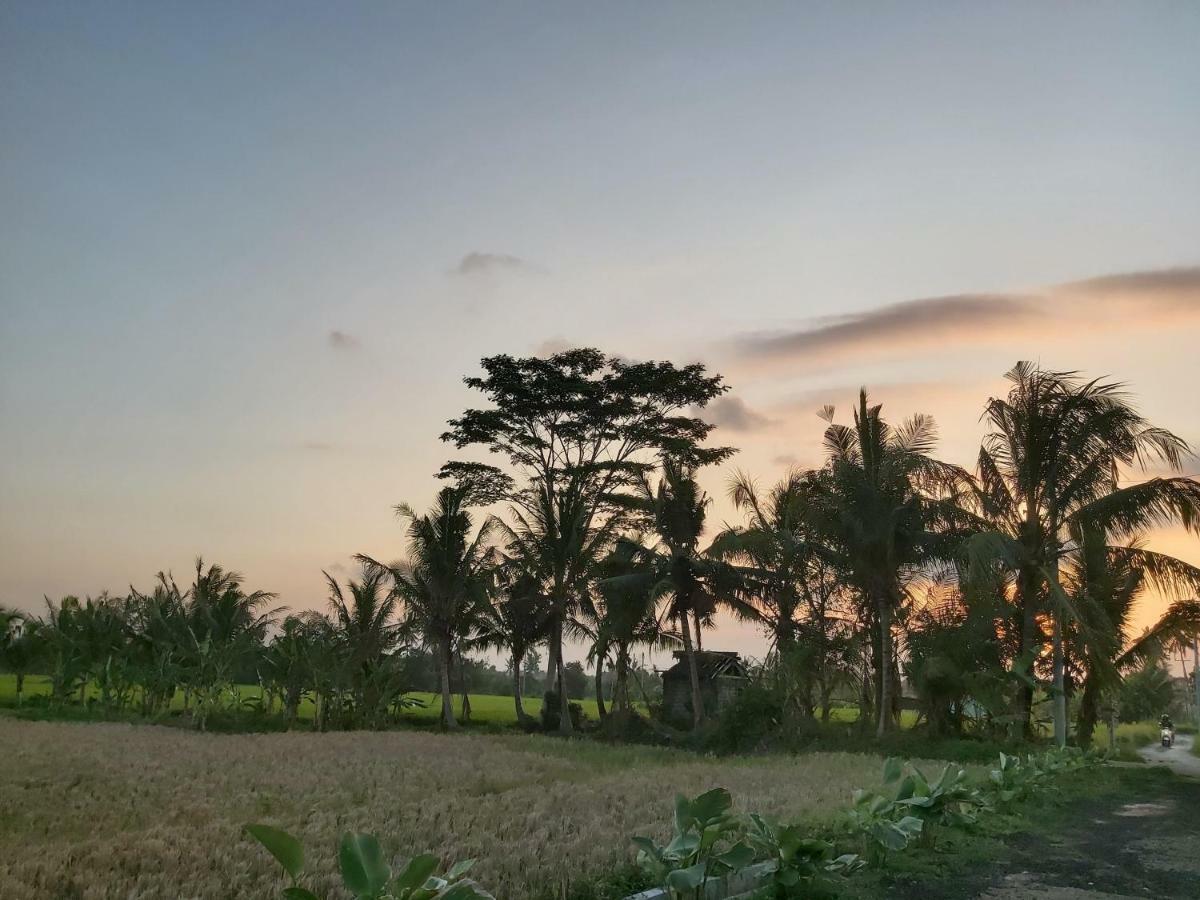 Ayuna Family Ubud Exteriör bild